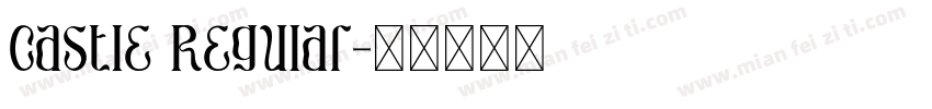 Castle Regular字体转换